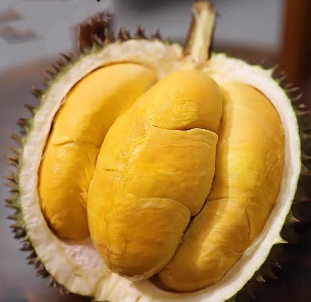 D200 Black Thorn Durian (黑刺榴莲) - Exotic Tree Seller