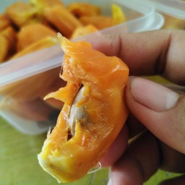 Indonesian Red-Flesh Jackfruit (印尼红肉菠萝蜜) - Image 3
