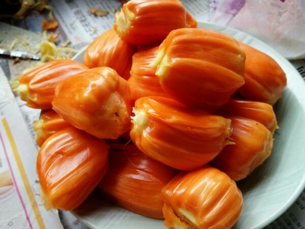 Thai No. 12 Jackfruit (泰国12号菠萝蜜) - Image 3