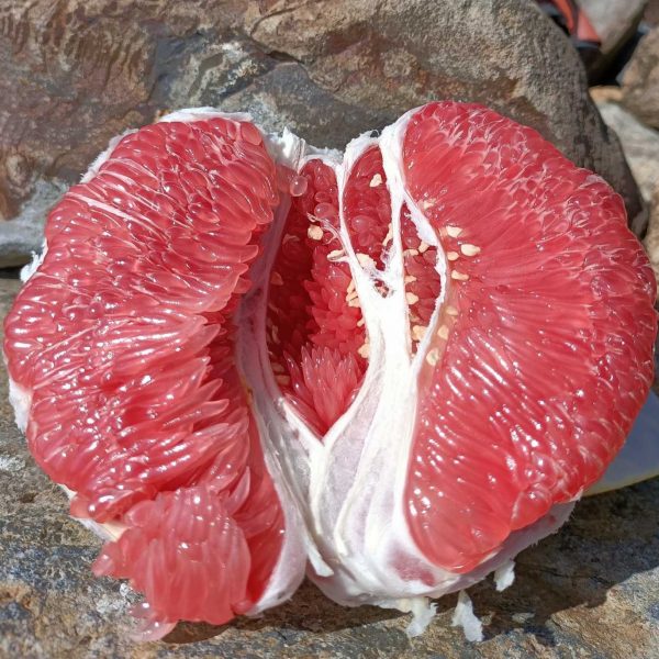 Red Flesh Pomelo (红肉蜜柚) - Image 2