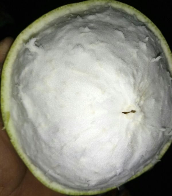 Anfu Jinlan Pomelo (安福金兰柚) - Image 3