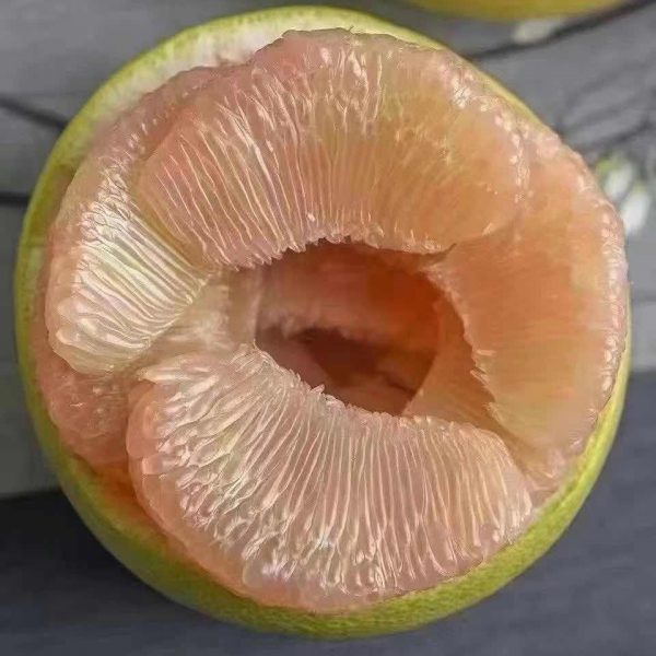 Duwei Wendan Pomelo (度尾文旦柚) - Image 2