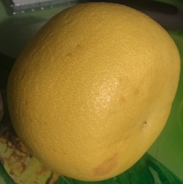 Dongshi Early Pomelo (东试早柚) - Image 3