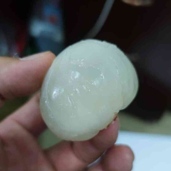 Xian Tao Lychee (仙桃荔枝) - Image 5