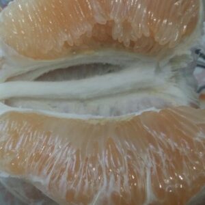 Orange Honey Pomelo (金橙蜜柚)