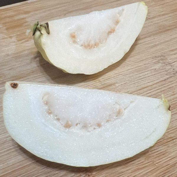 Hechun White Jade Guava (河唇白玉番石榴) - Image 3