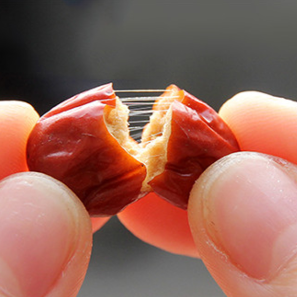 Golden Thread Jujube Tree (金丝小枣) - Image 2