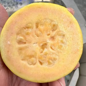 Orange Red Guava (橙红番石榴)
