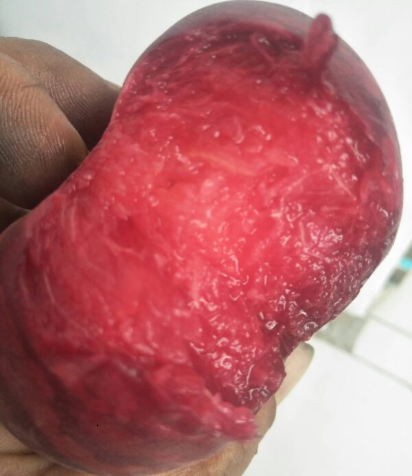 C25 Crystal Blood Flat Peach (C25水晶血蟠桃) - Image 5