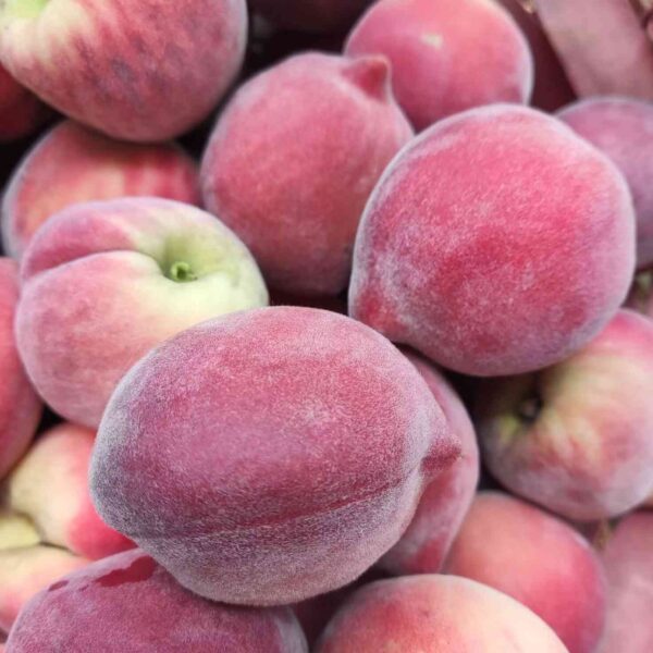 Tainung No. 2 Honey Peach (台农2号水蜜桃) - Image 2