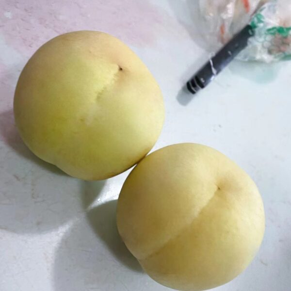 Okayama Winter Peach (冈山冬桃) - Image 2