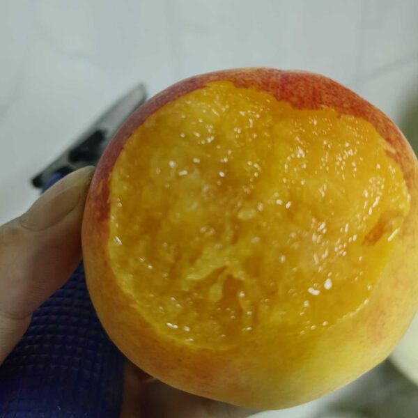 Nichikawa Yellow Honey Peach (黄日川水蜜桃) - Image 2