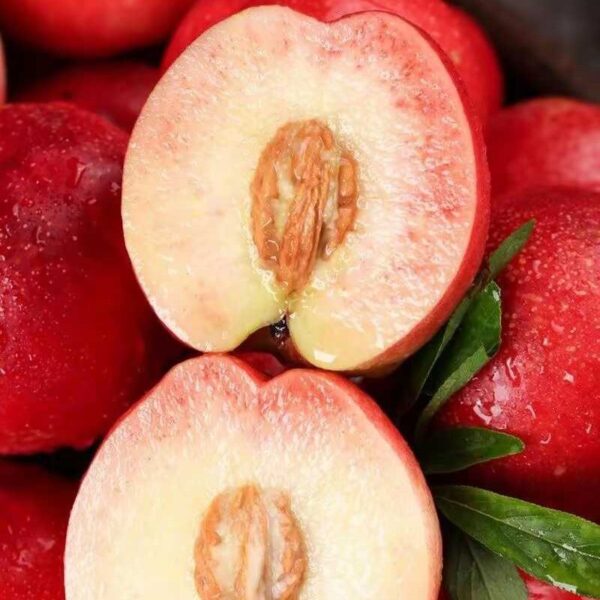 Zhongyou Danyu Nectarine ( 中油丹玉桃) - Image 2