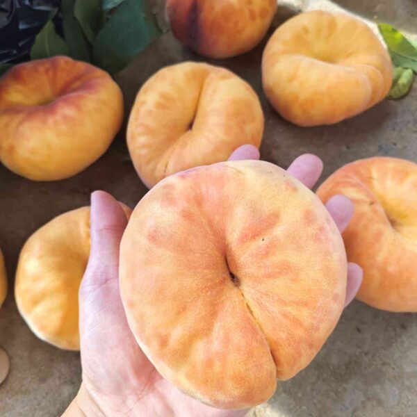 Zhongpan No. 11 Flat Peach (中蟠11号蟠桃) - Image 2