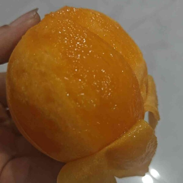 Youhuang Yellow Peach ( 友黄黄桃) - Image 2