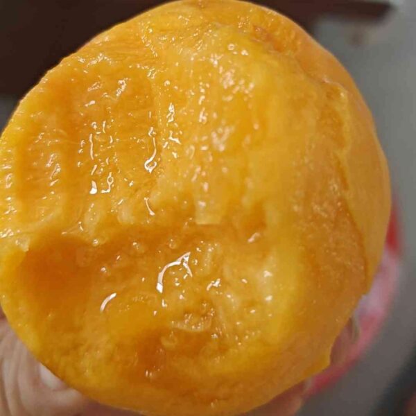 Youhuang Yellow Peach ( 友黄黄桃) - Image 3