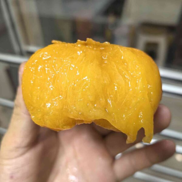 Jinxia Early Flat Nectarine (早金霞油蟠桃) - Image 3