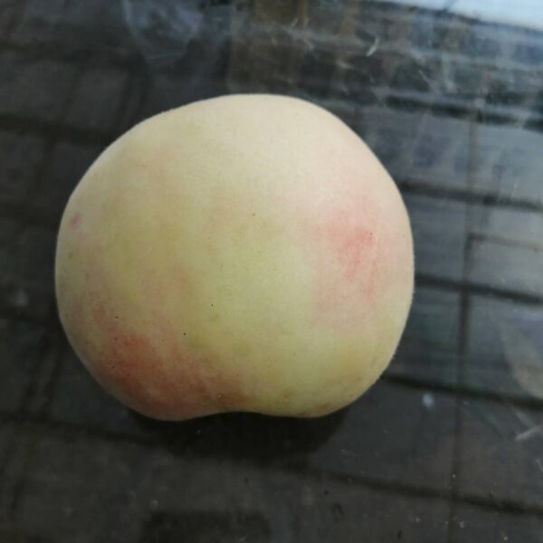 Mizu Honey Peach ( 桃水水蜜桃) - Image 2