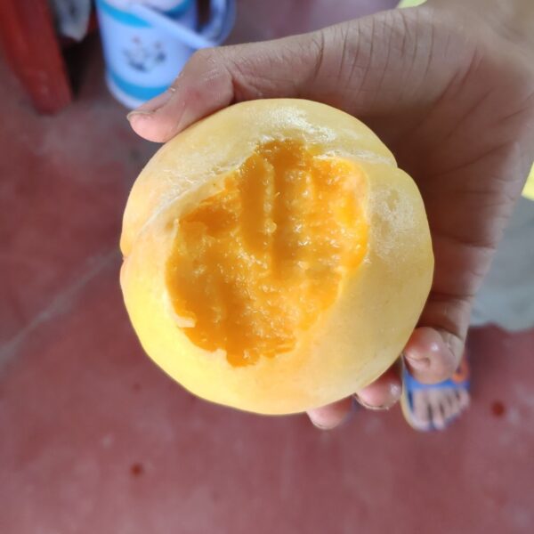 Golden Yellow Peach ( 黄金黄桃) - Image 3