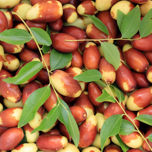 Youyou Jujube (悠悠枣) - Image 2