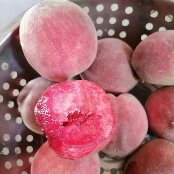 Chunyu Blood Peach (春雨血桃) - Image 2