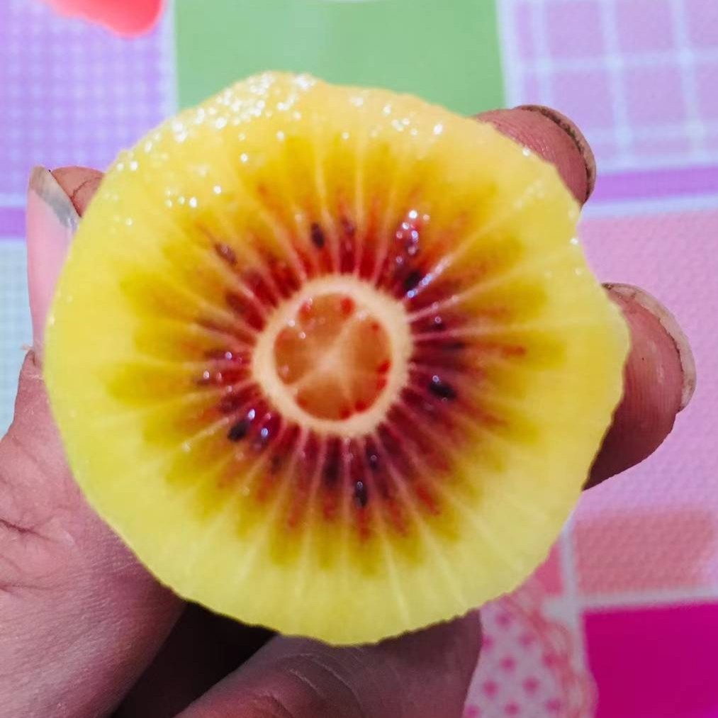 Shui Jin Kiwi (水金猕猴桃) - Image 4