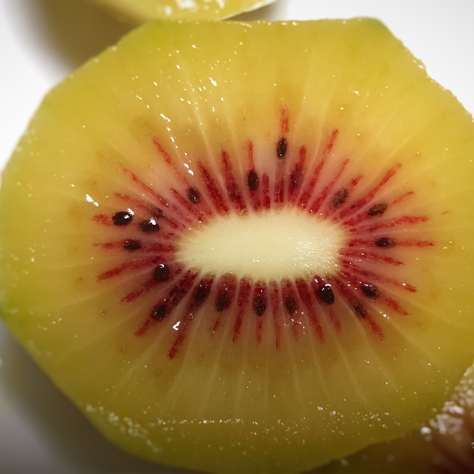 Shui Jin Kiwi (水金猕猴桃) - Image 2