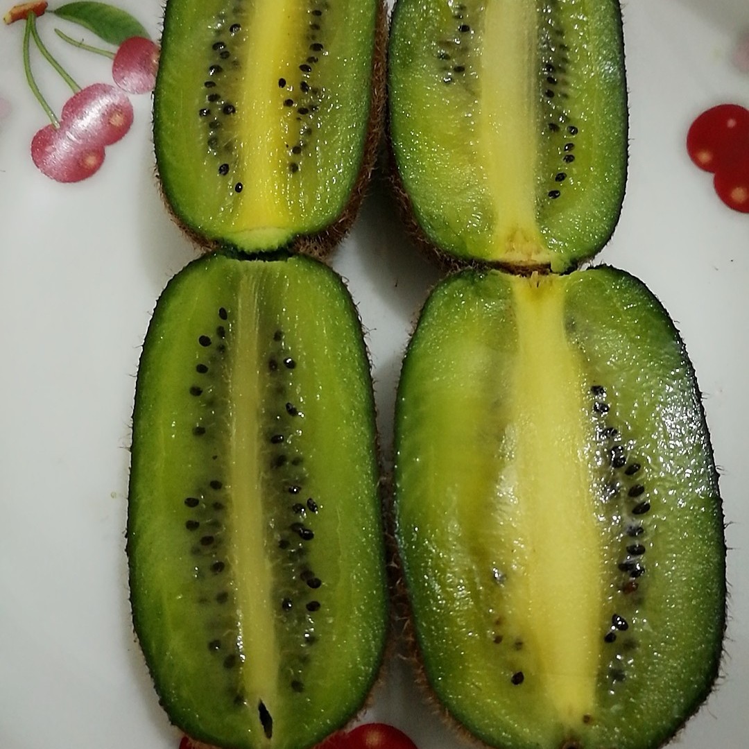 Guichang Kiwi (贵长猕猴桃) - Image 3
