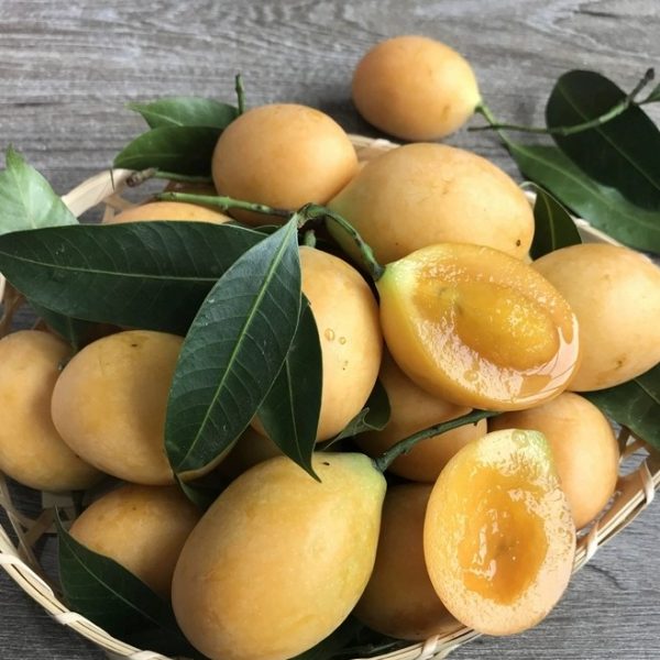Thai Loquat Mango (泰国枇杷芒果) - Image 4