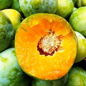 Bashan Crisp Plum Tree (巴山脆李)