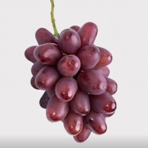 Queen Rouge Grape Vine (胭脂皇后葡萄苗)
