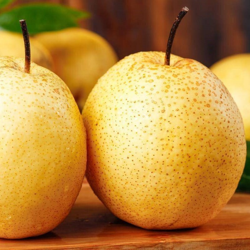 Snowflake Pear Tree (雪花梨) - Image 3