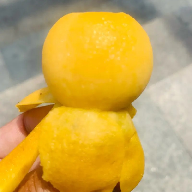 Jinyu Loquat Tree (金玉枇杷) - Image 2