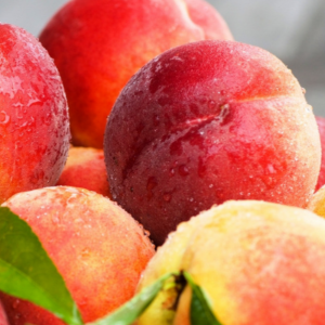 Zhongyou No. 7 Nectarine (中油7号桃)