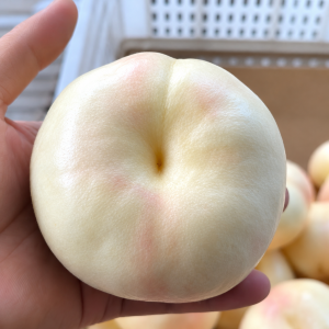 Creamy Xiangyu Flat Nectarine Tree (奶油香玉油蟠桃)